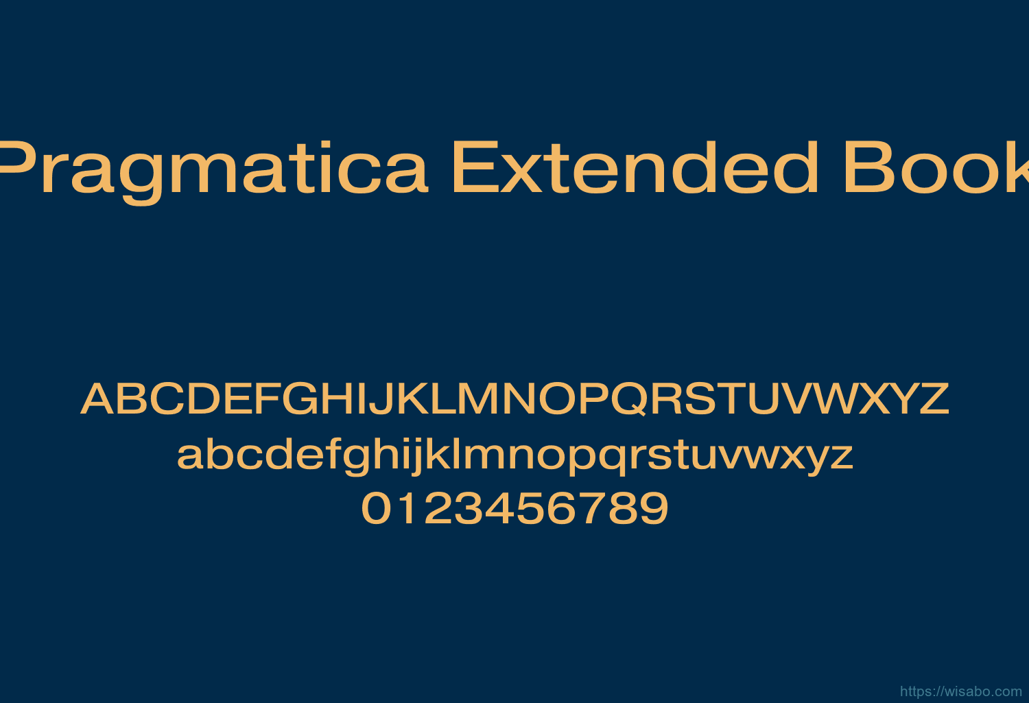 Pragmatica Extended Book