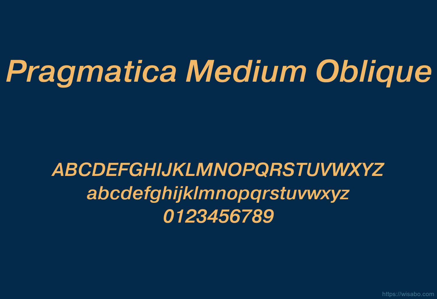 Pragmatica Medium Oblique
