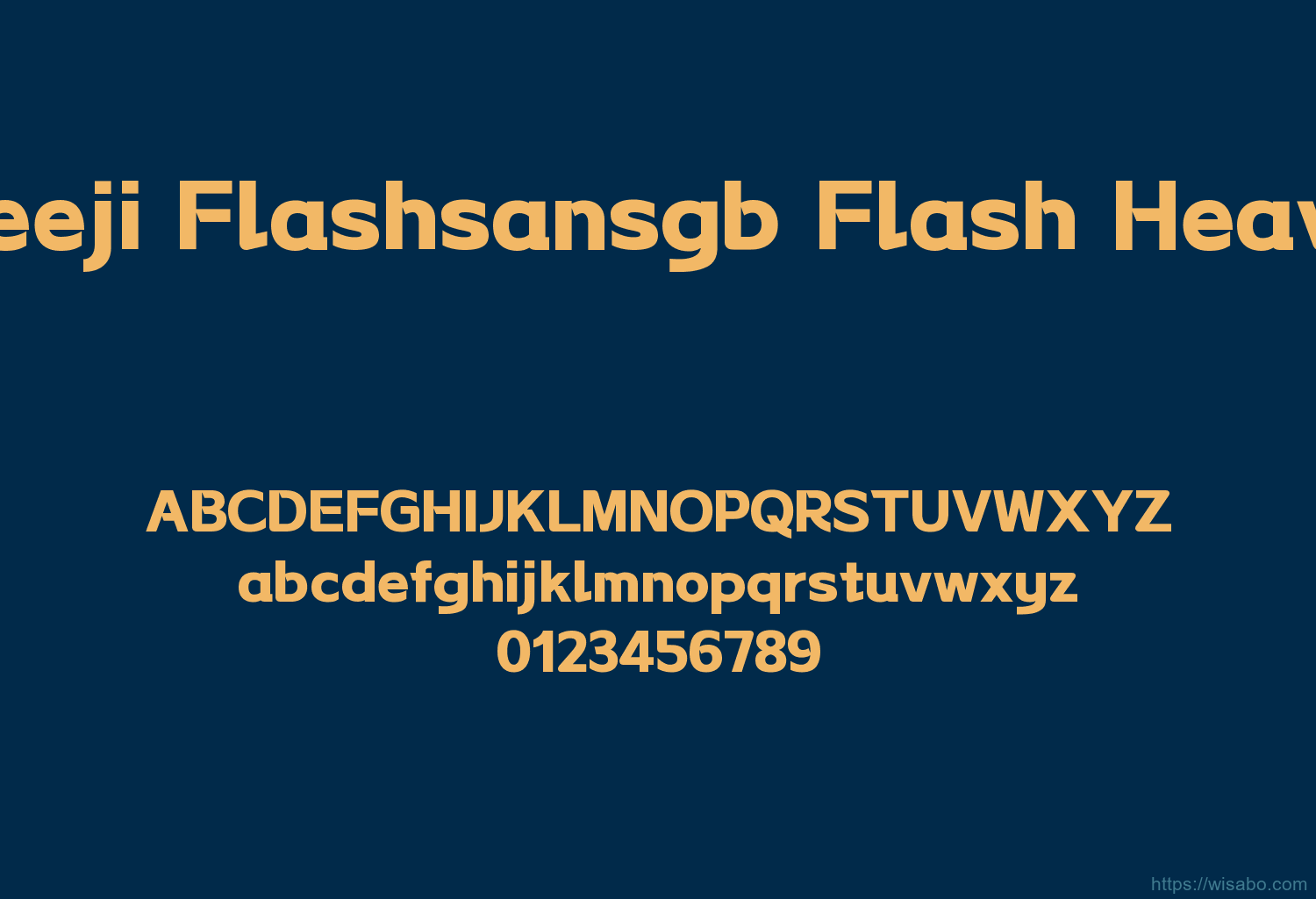 Reeji Flashsansgb Flash Heavy