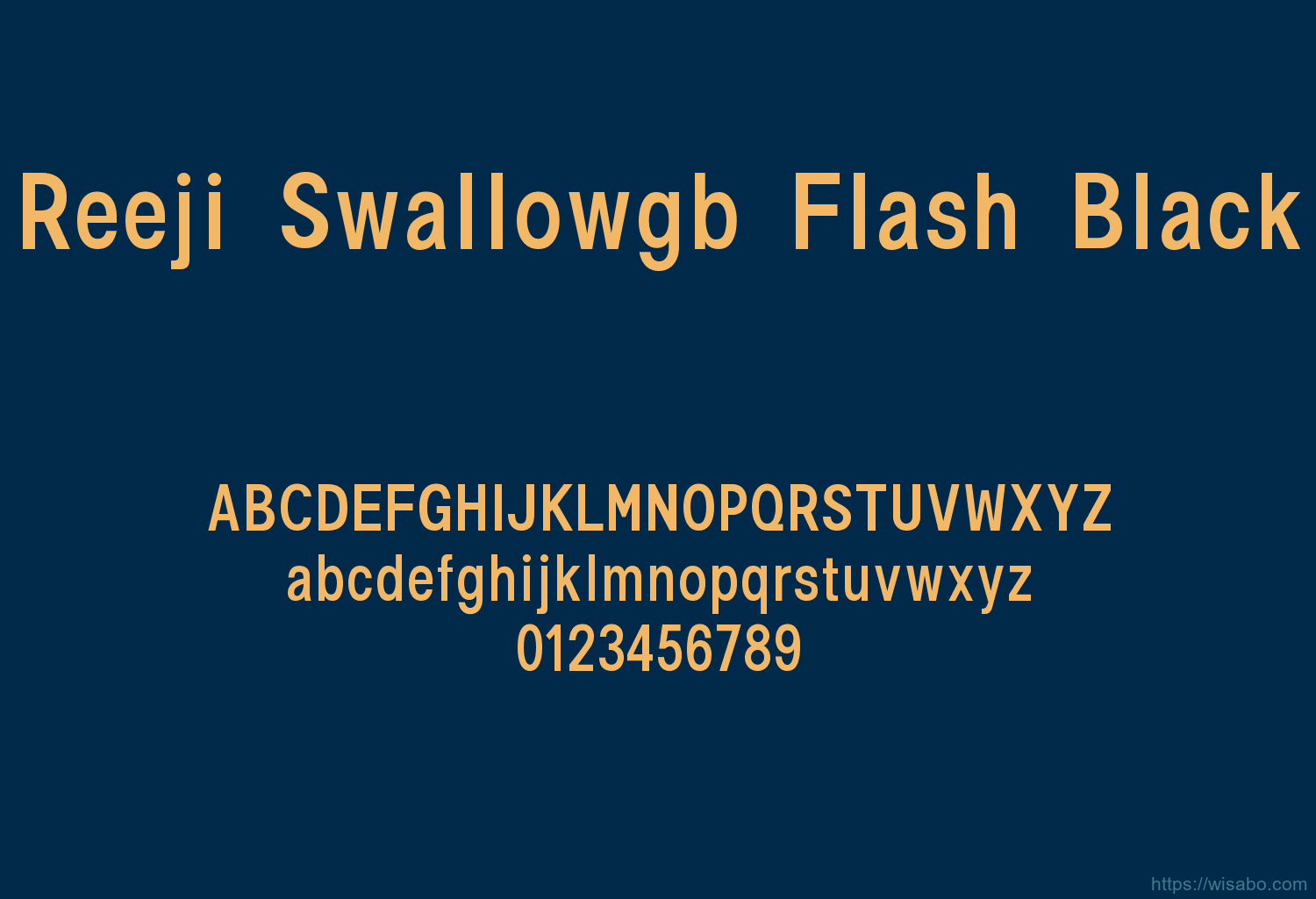 Reeji Swallowgb Flash Black