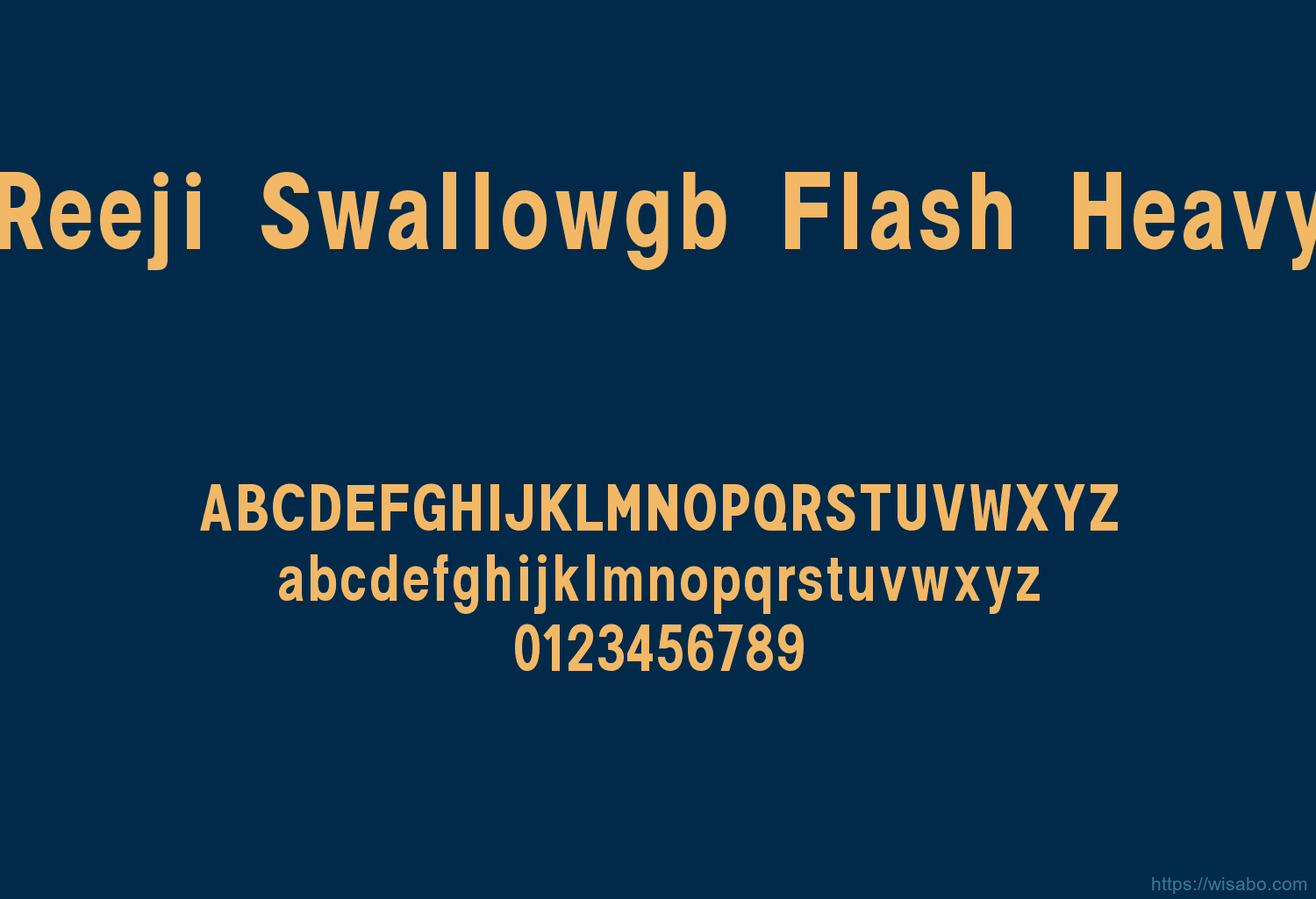 Reeji Swallowgb Flash Heavy
