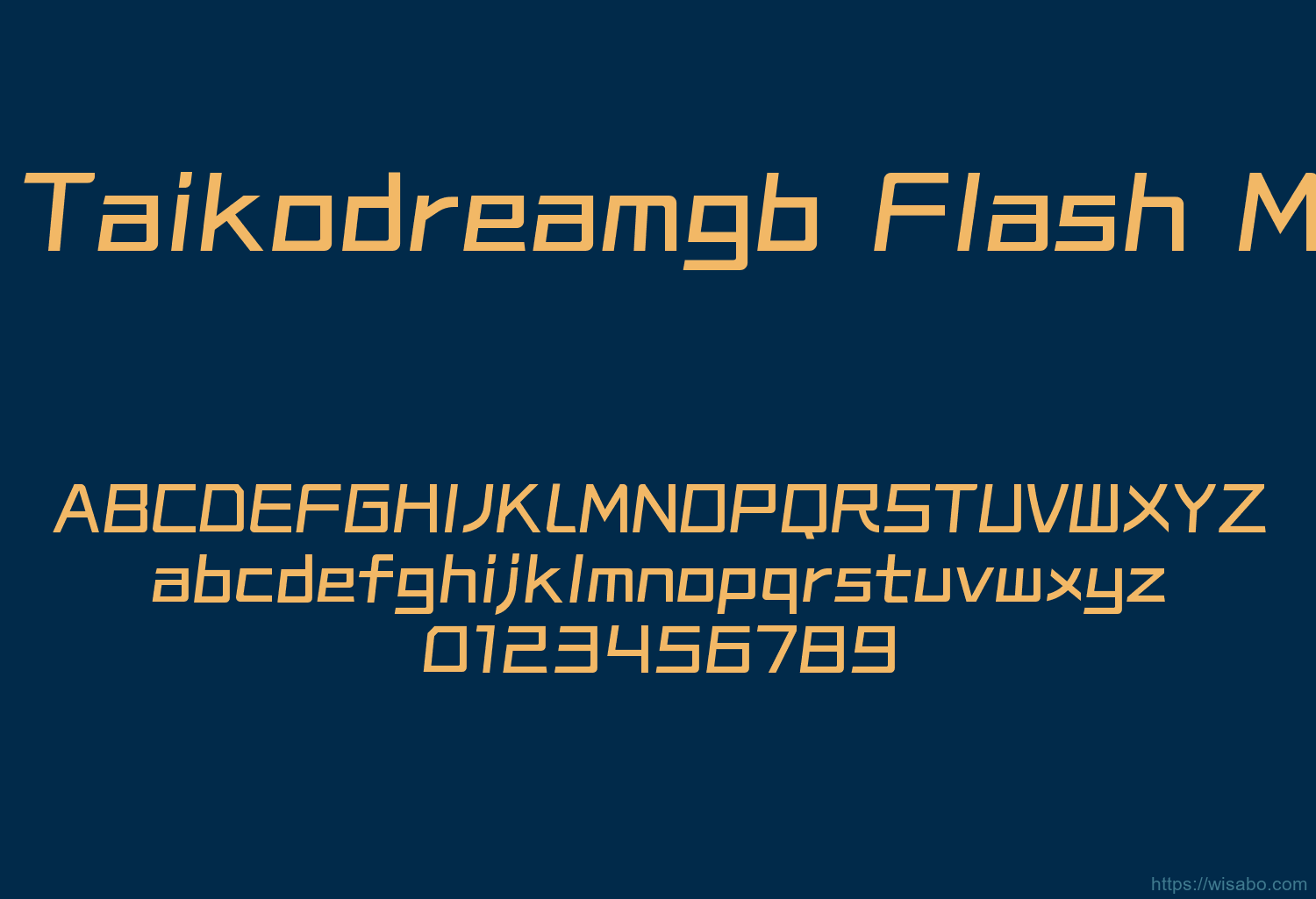 Reeji Taikodreamgb Flash Medium