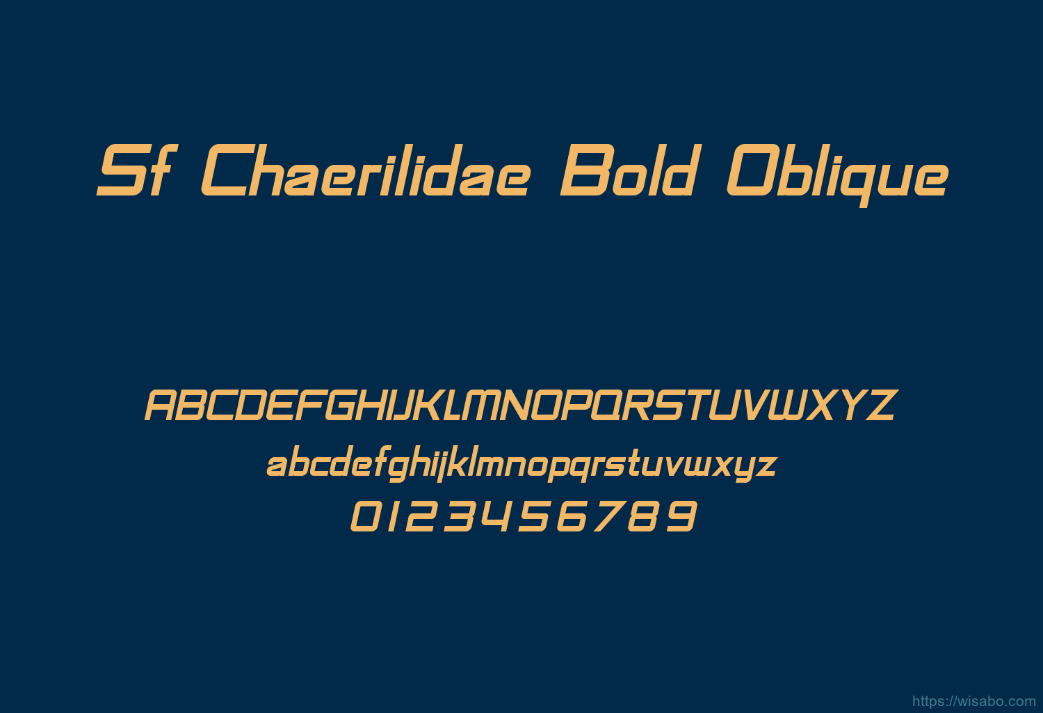 Sf Chaerilidae Bold Oblique