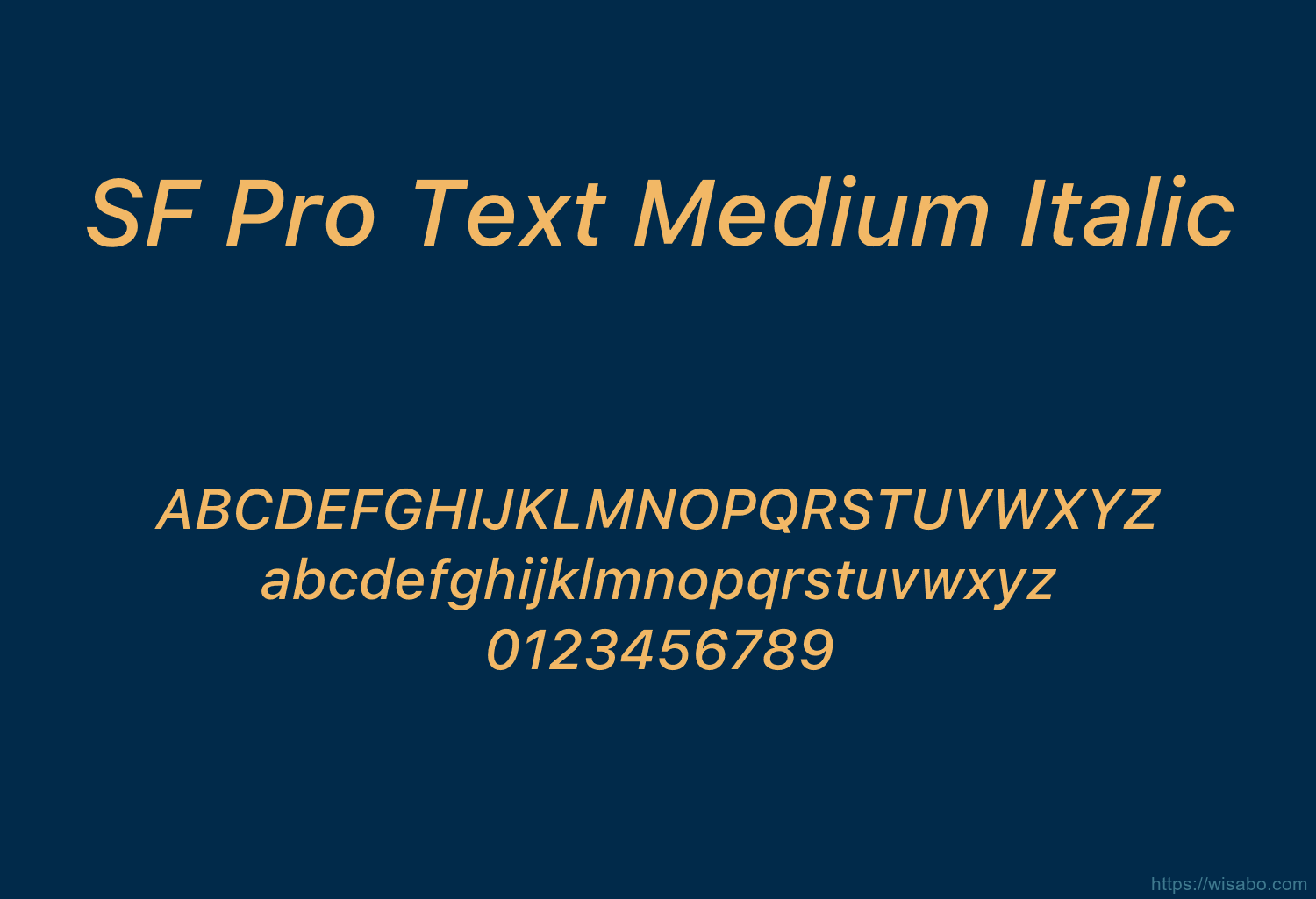 SF Pro Text Medium Italic
