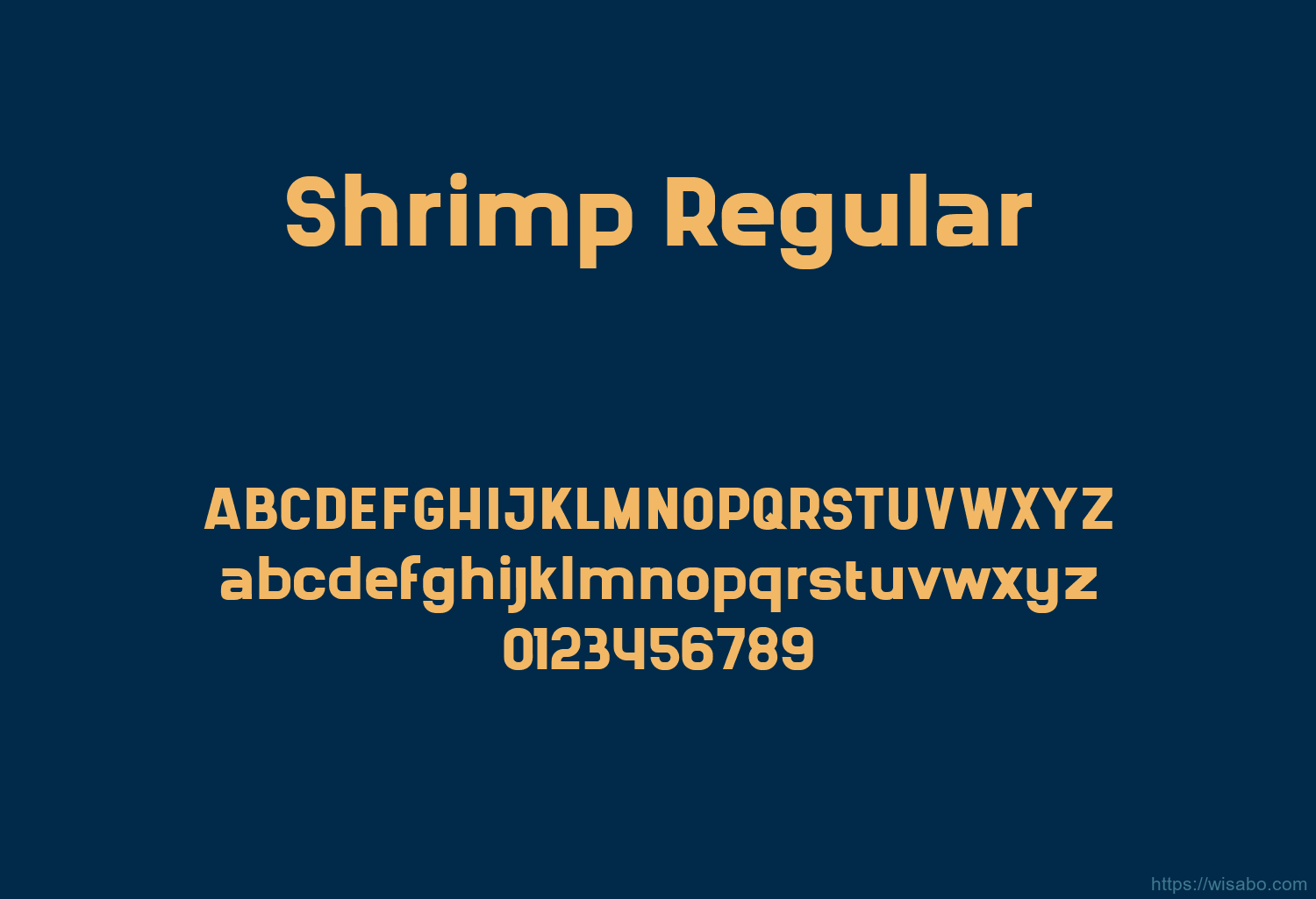 Shrimp Regular