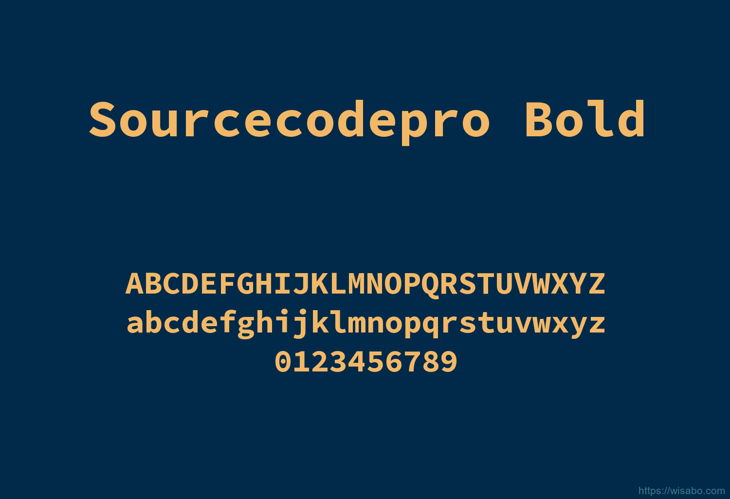 Sourcecodepro Bold