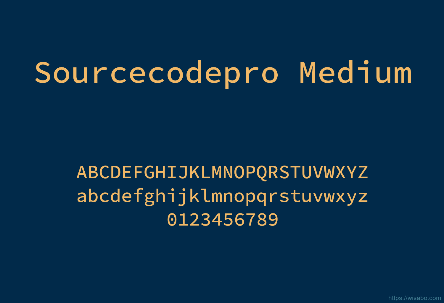 Sourcecodepro Medium