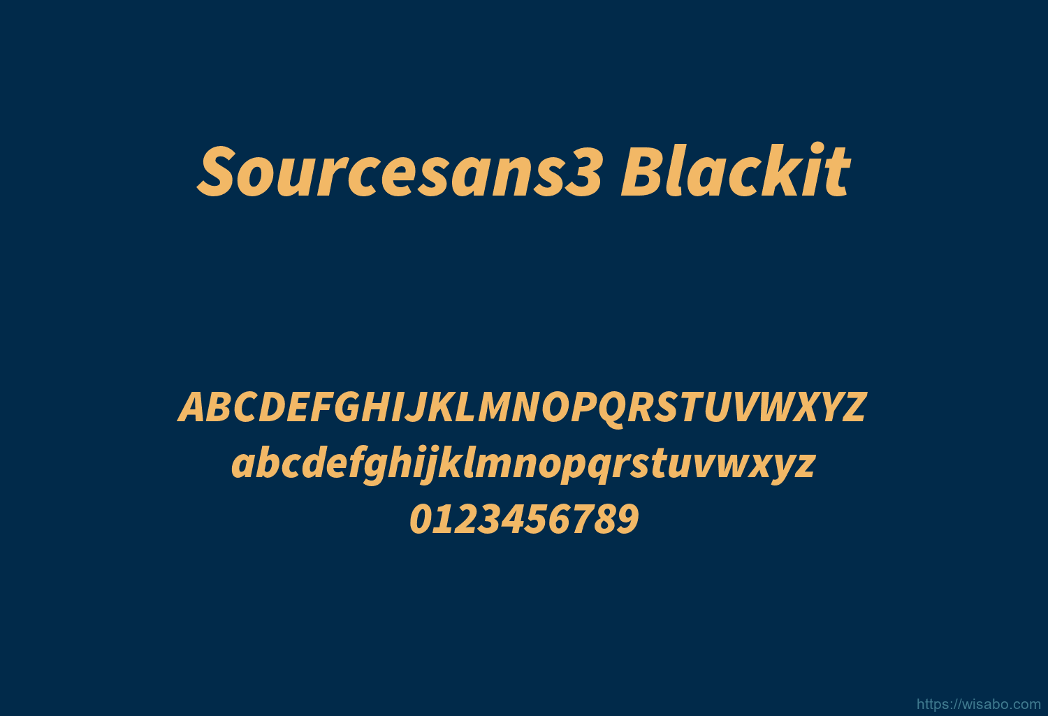 Sourcesans3 Blackit