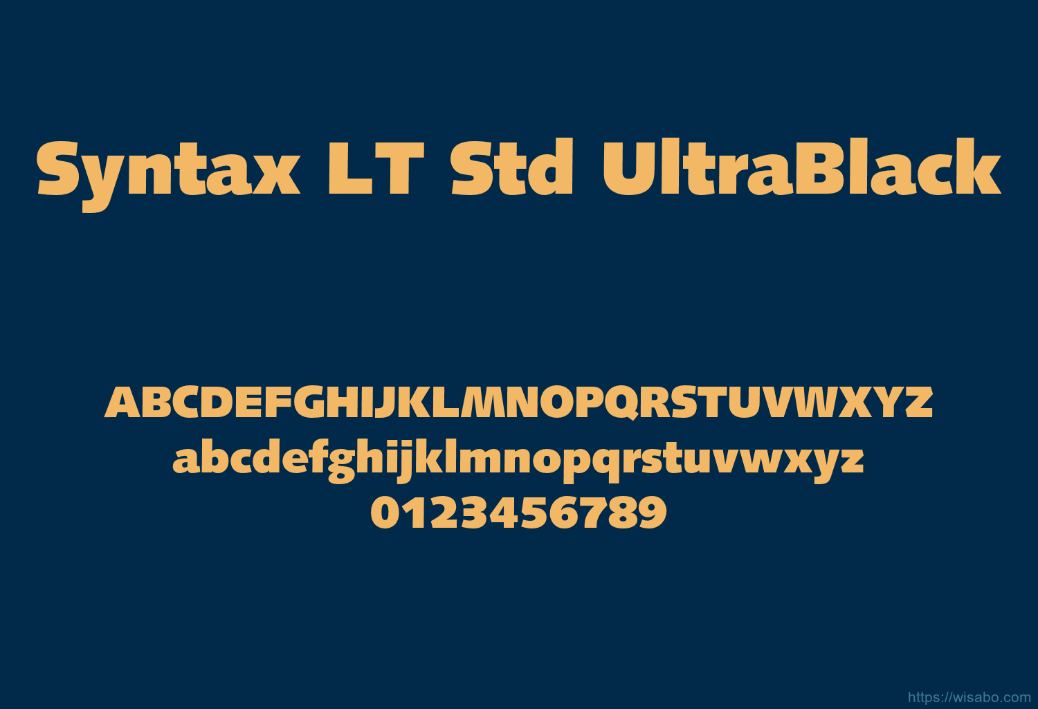 Syntax LT Std UltraBlack