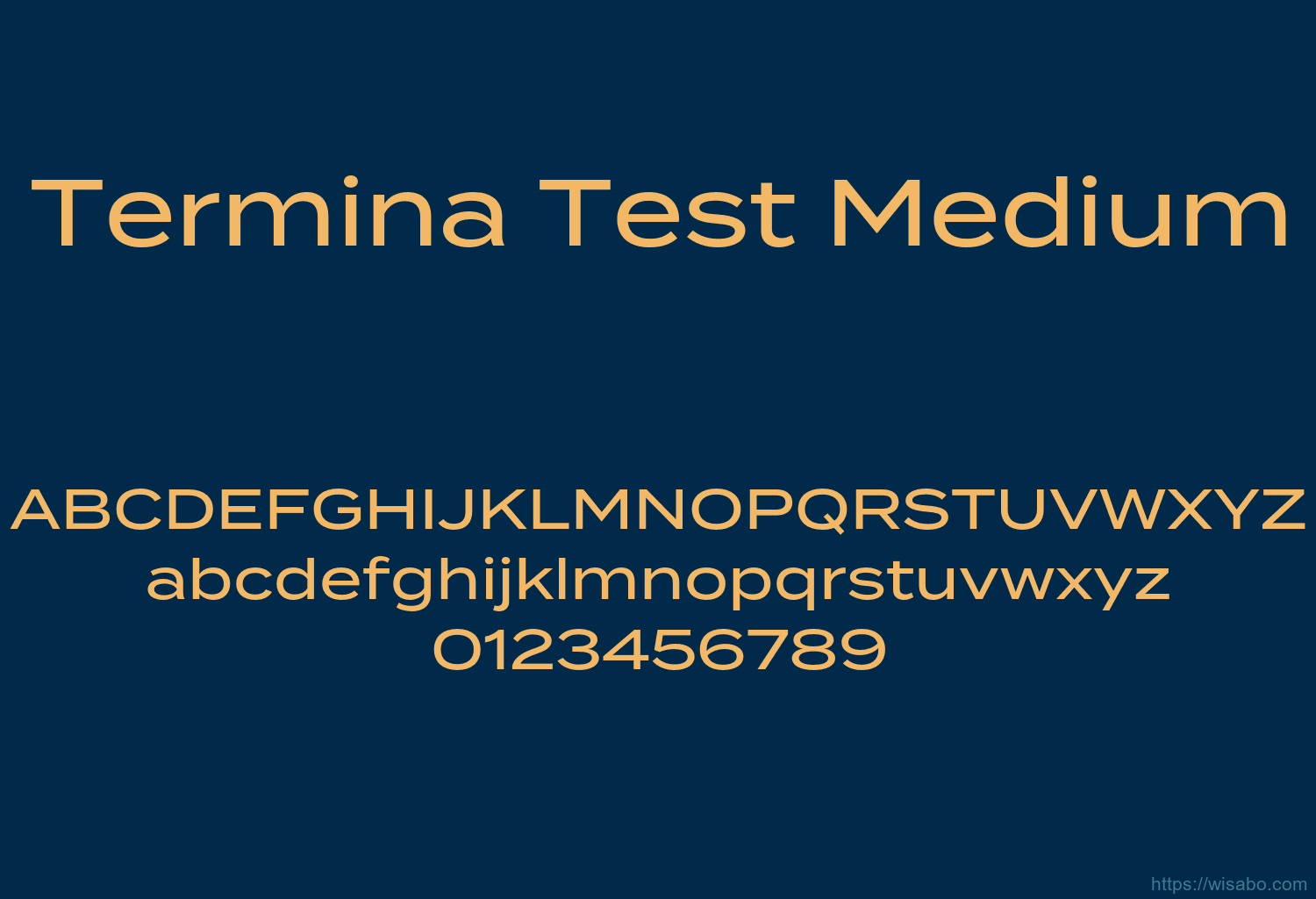 Termina Test Medium