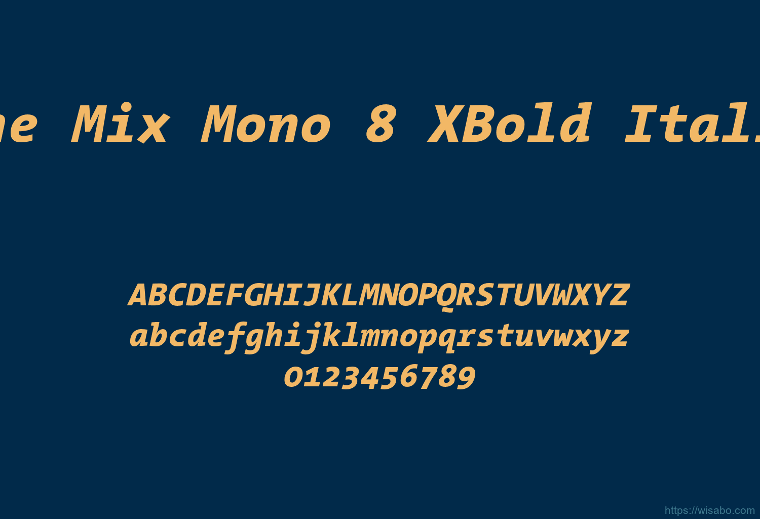 The Mix Mono 8 XBold Italic