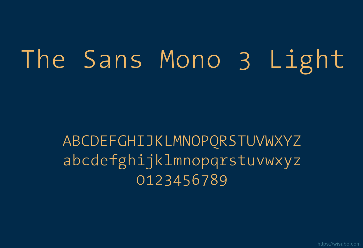 The Sans Mono 3 Light