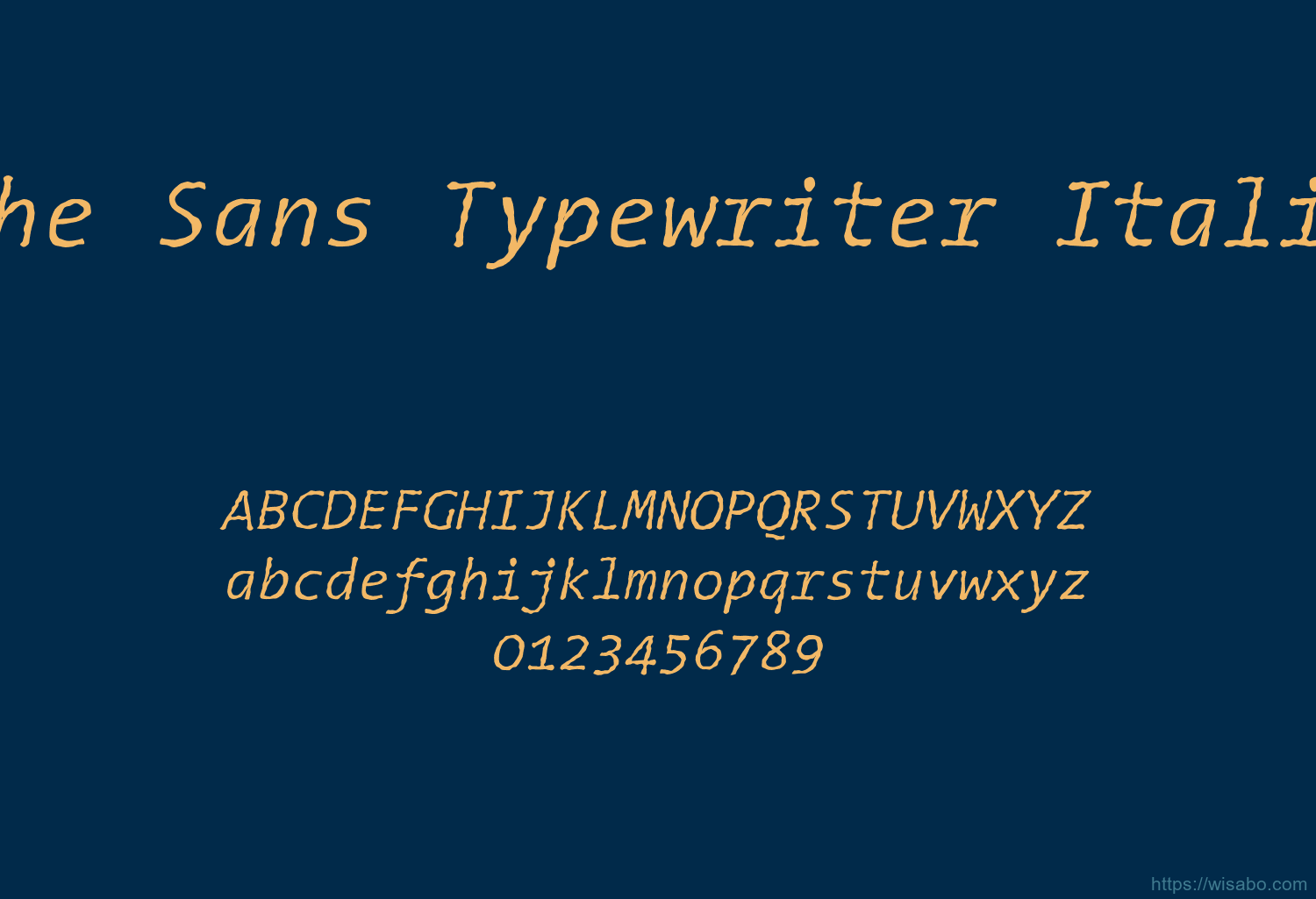 The Sans Typewriter Italic
