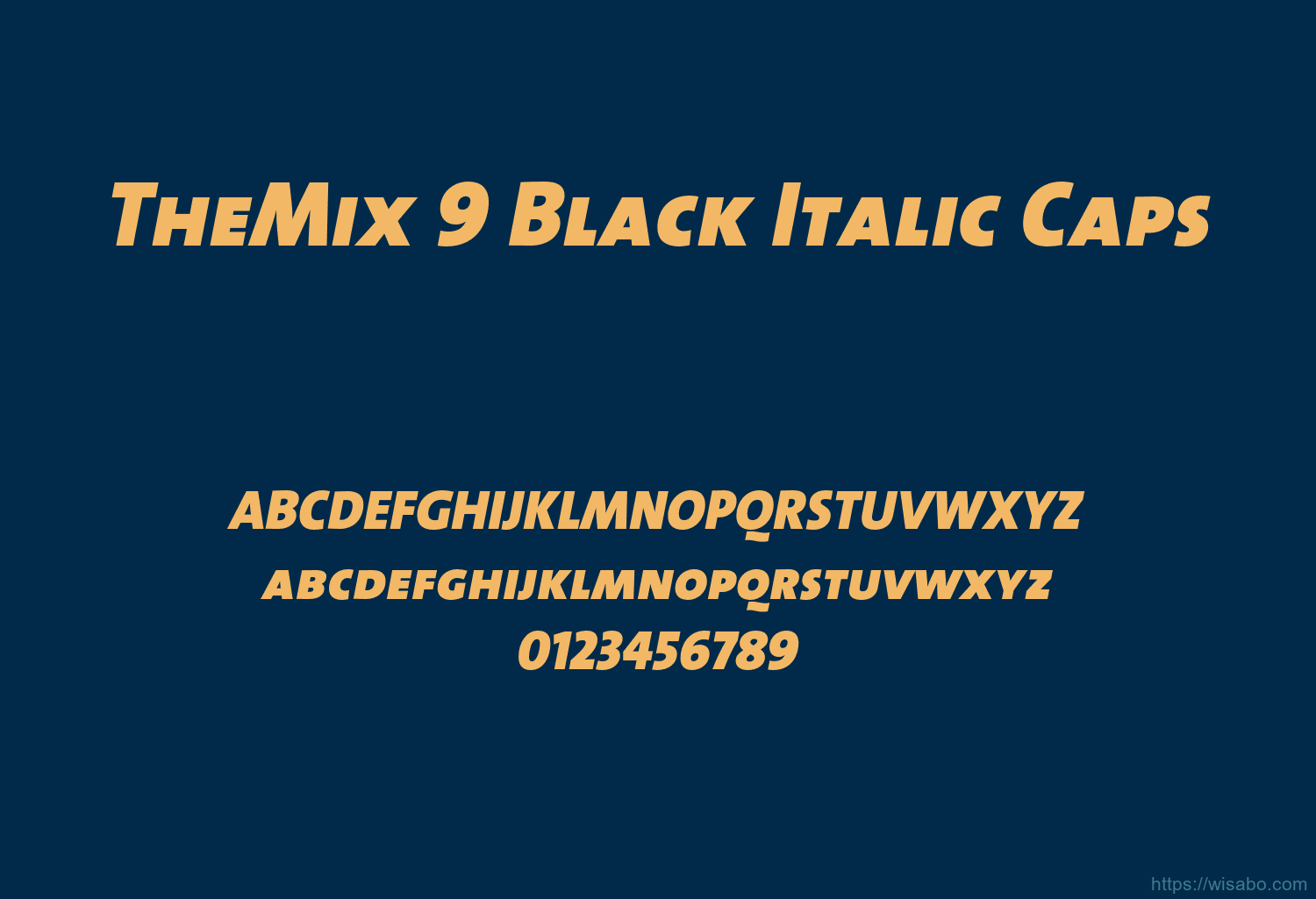 TheMix 9 Black Italic Caps