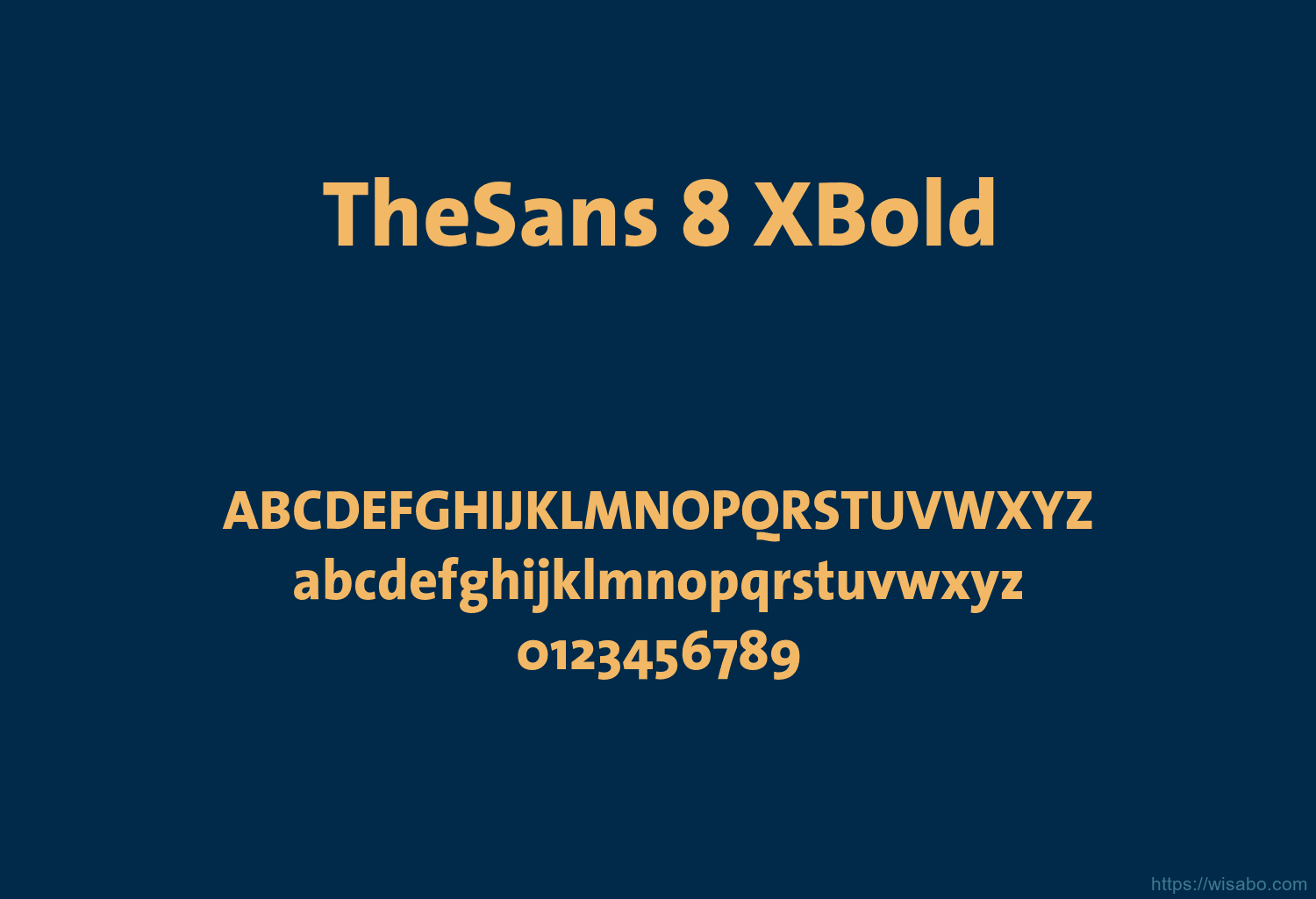 TheSans 8 XBold
