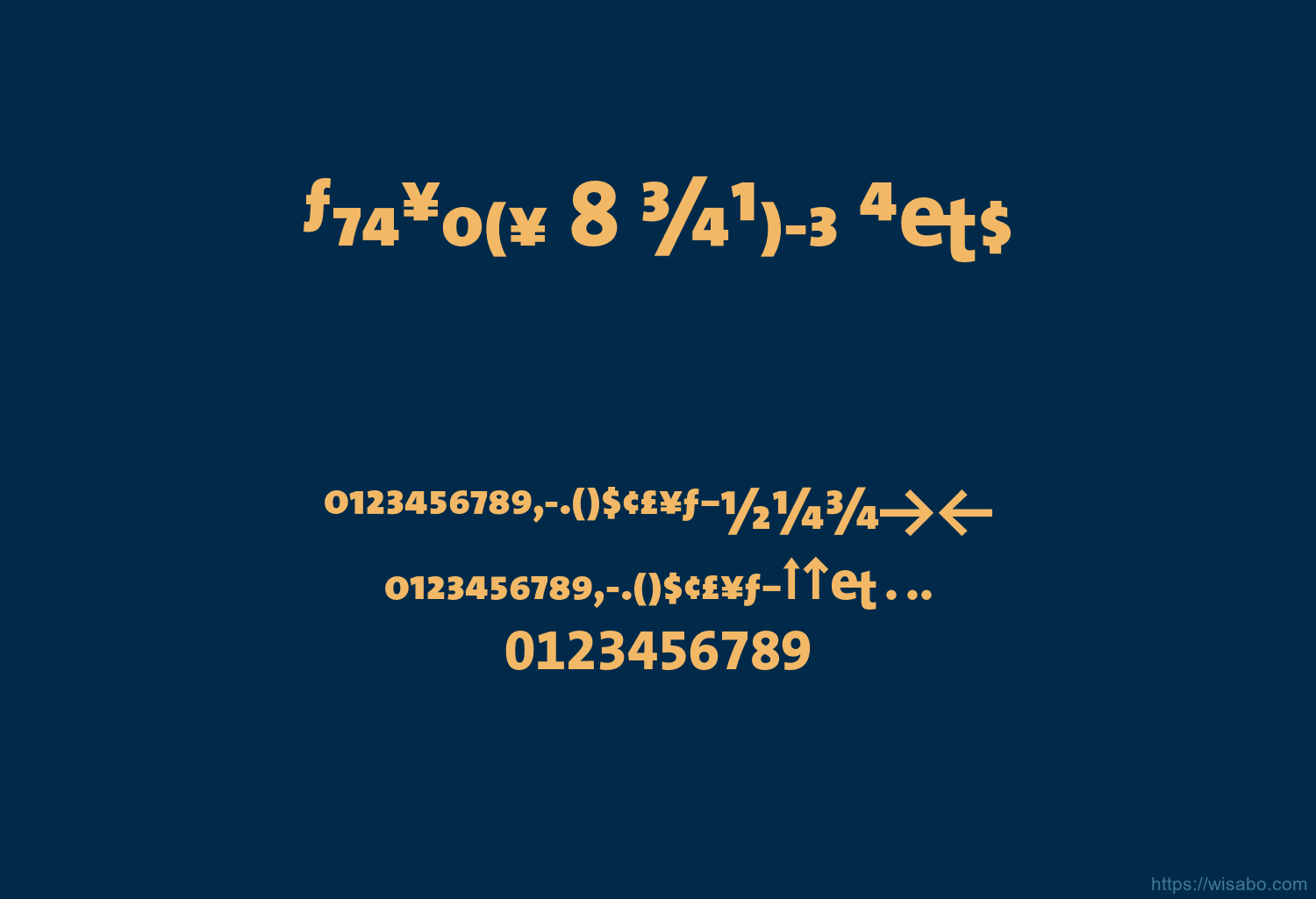 TheSans 8 XBold Exp