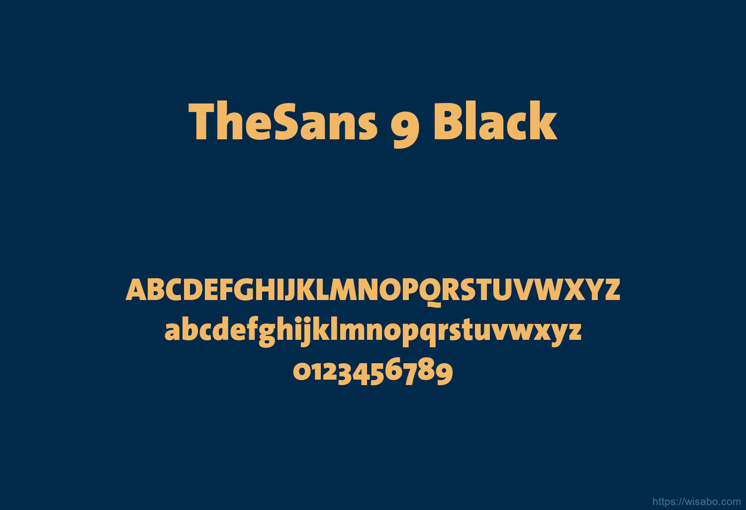 TheSans 9 Black