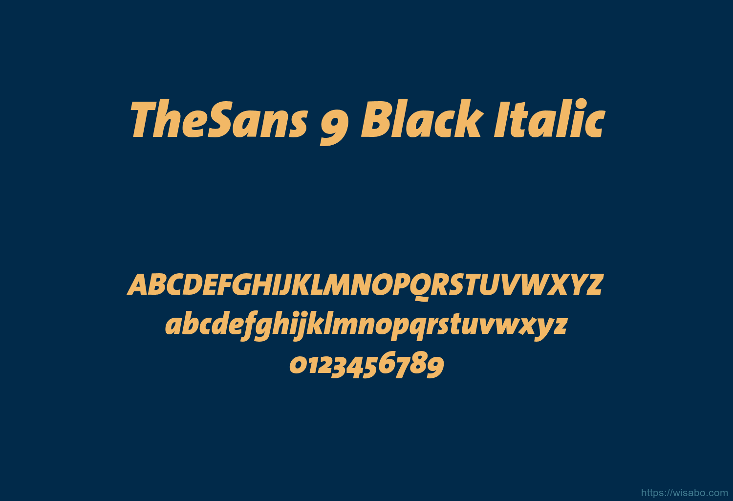 TheSans 9 Black Italic