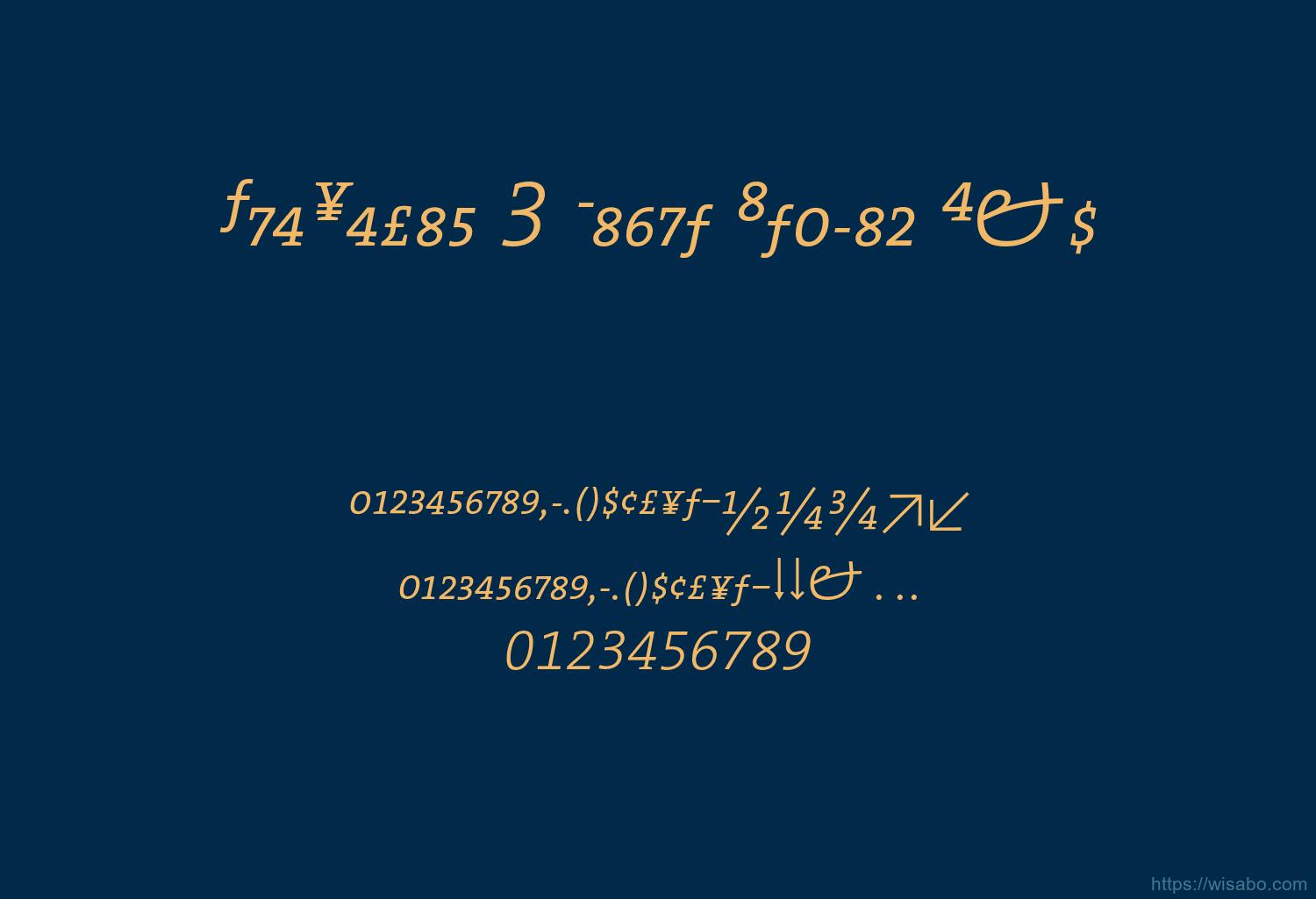 TheSerif 3 Light Italic Exp