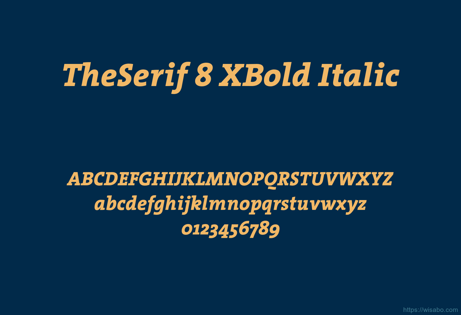 TheSerif 8 XBold Italic