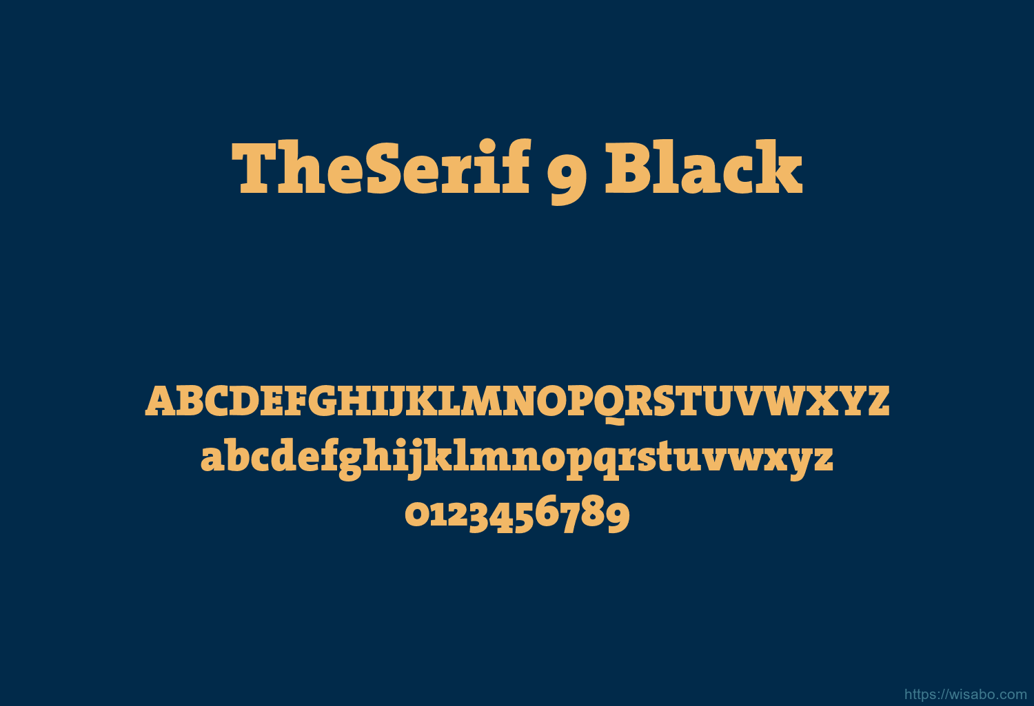 TheSerif 9 Black