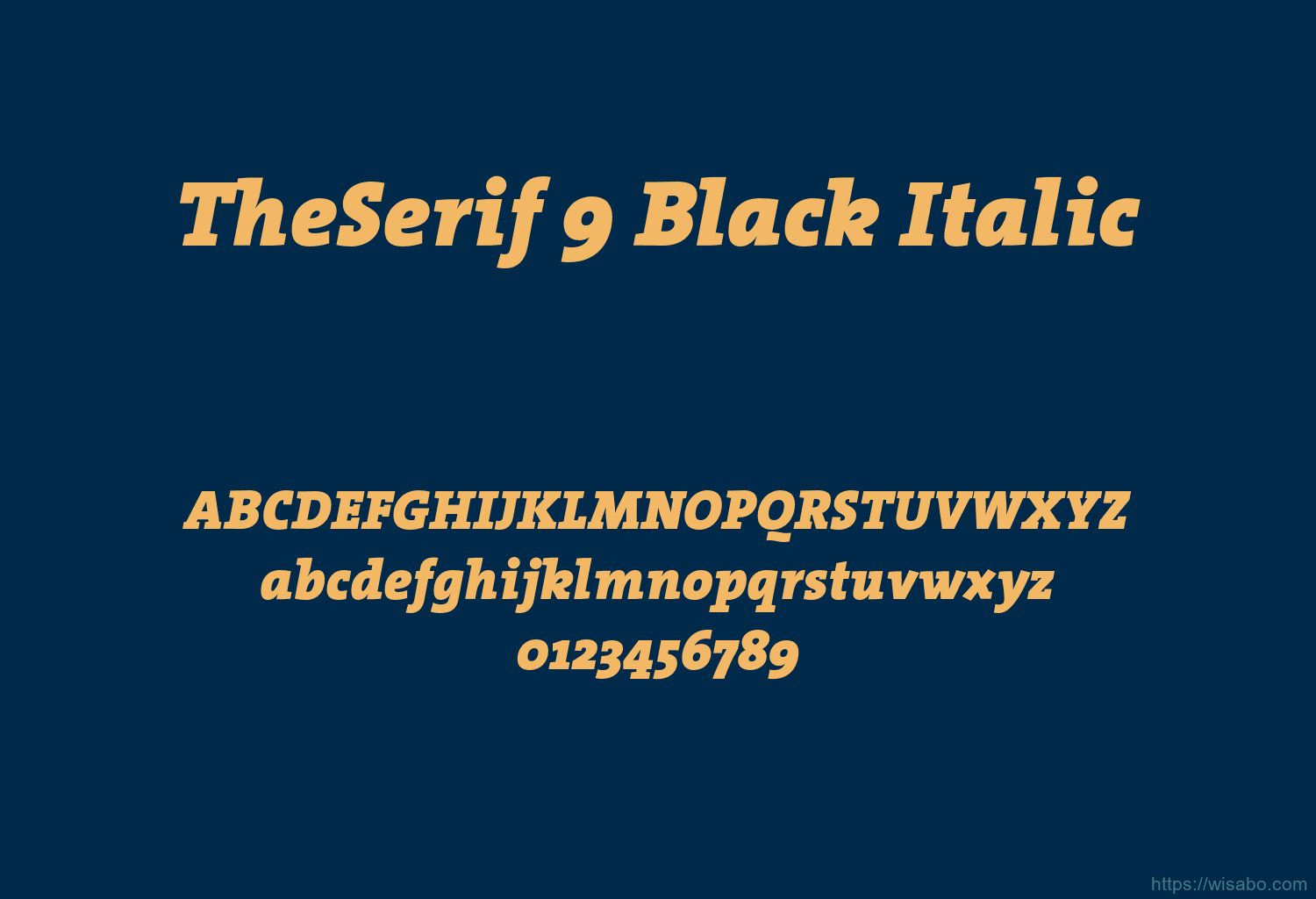 TheSerif 9 Black Italic