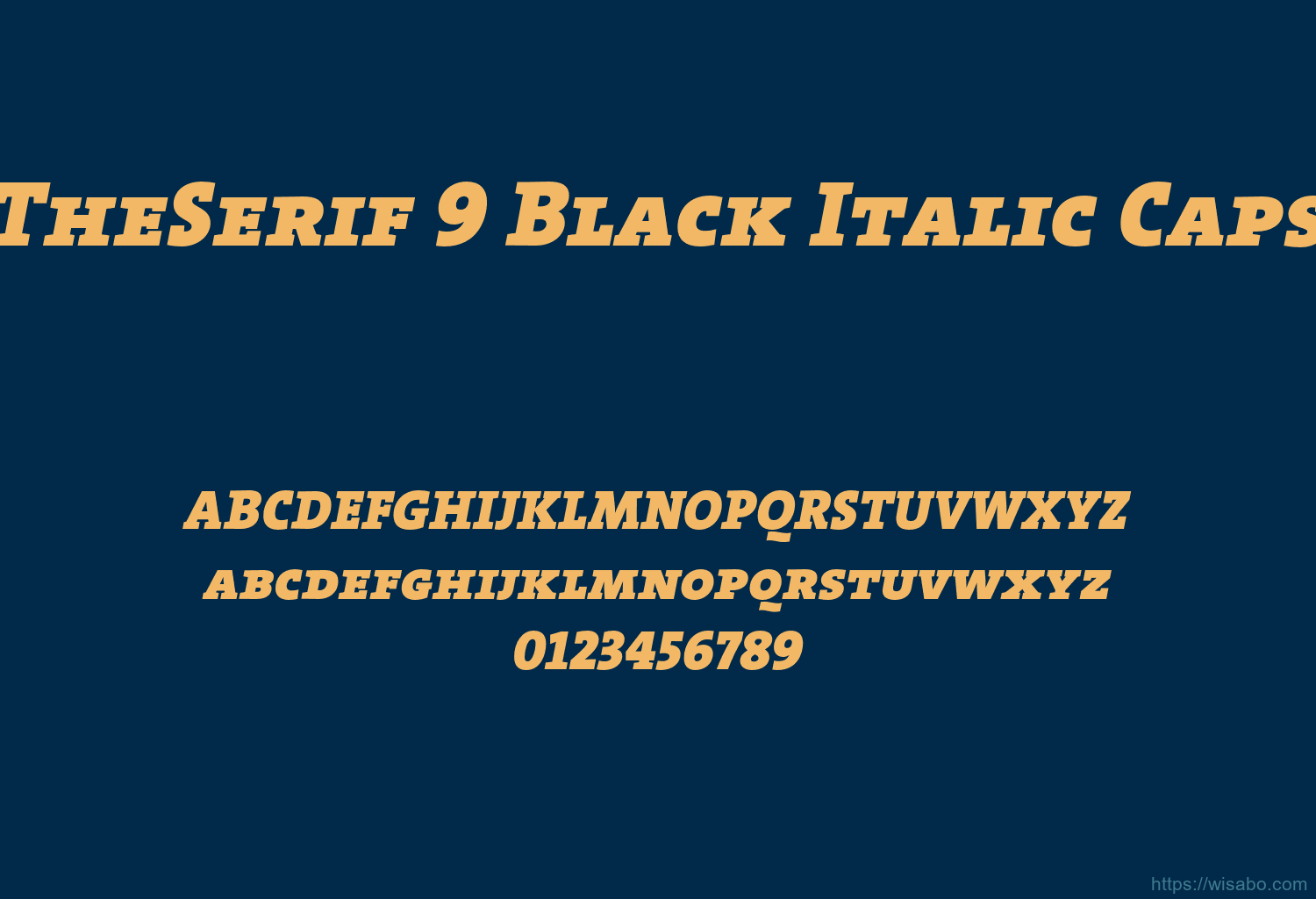 TheSerif 9 Black Italic Caps