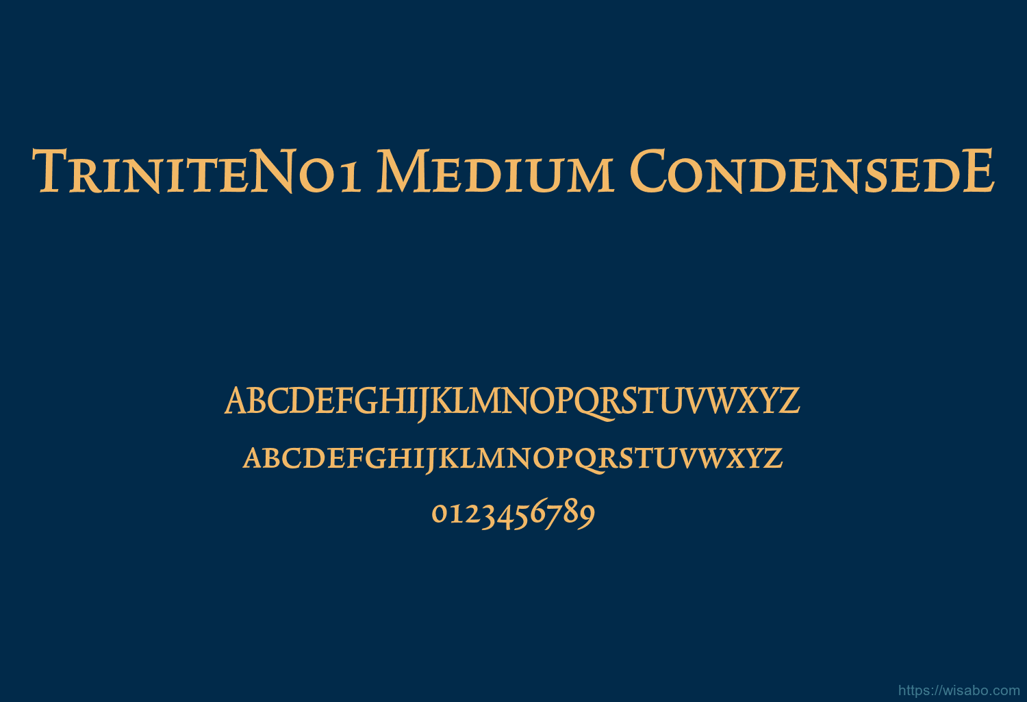 TriniteNo1 Medium CondensedE