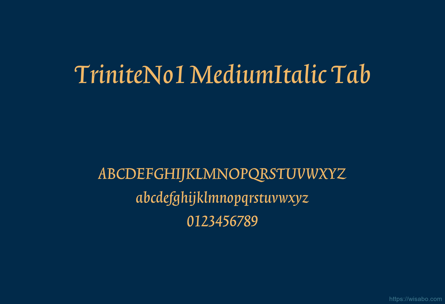 TriniteNo1 MediumItalic Tab