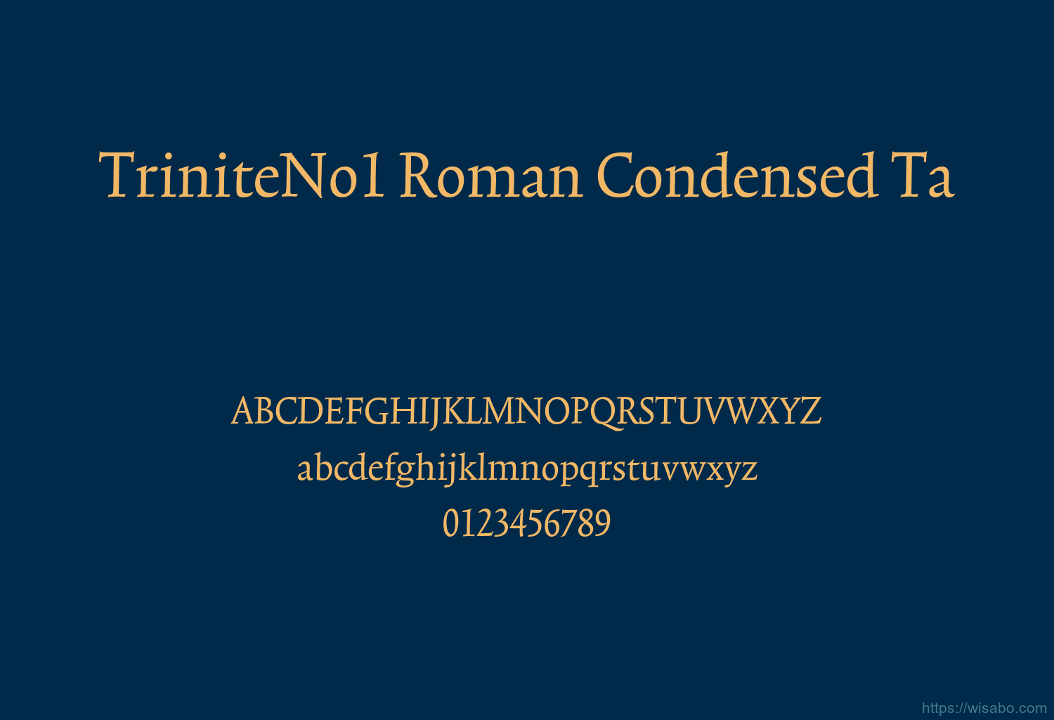 TriniteNo1 Roman Condensed Ta