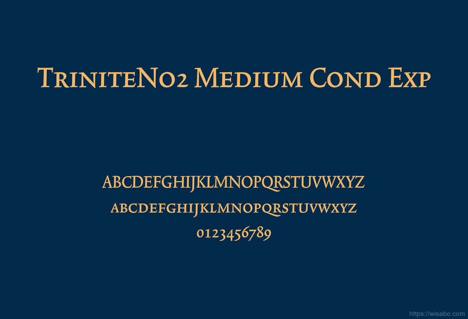 TriniteNo2 Medium Cond Exp