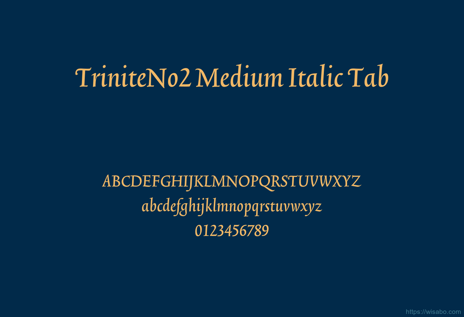 TriniteNo2 Medium Italic Tab