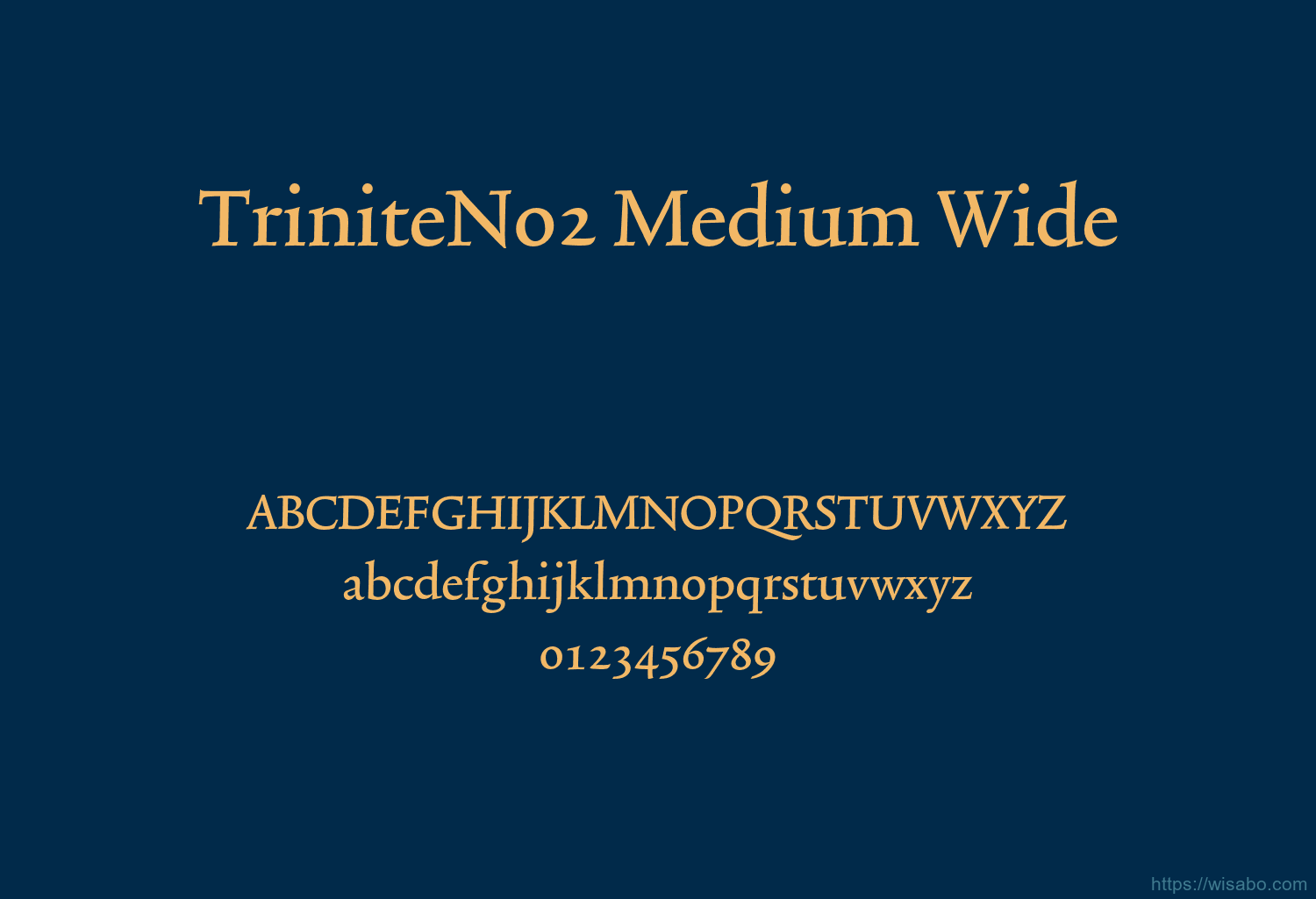 TriniteNo2 Medium Wide