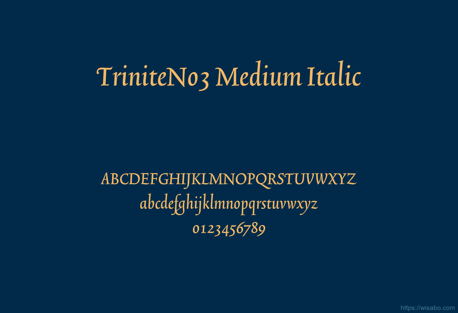 TriniteNo3 Medium Italic