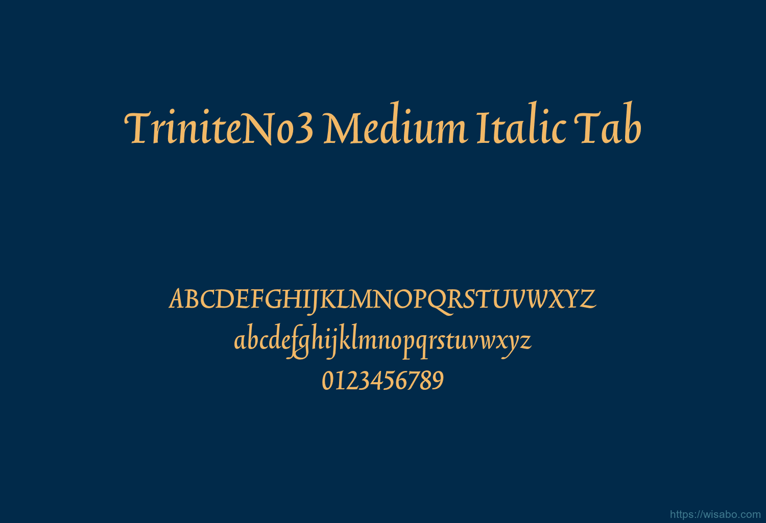 TriniteNo3 Medium Italic Tab