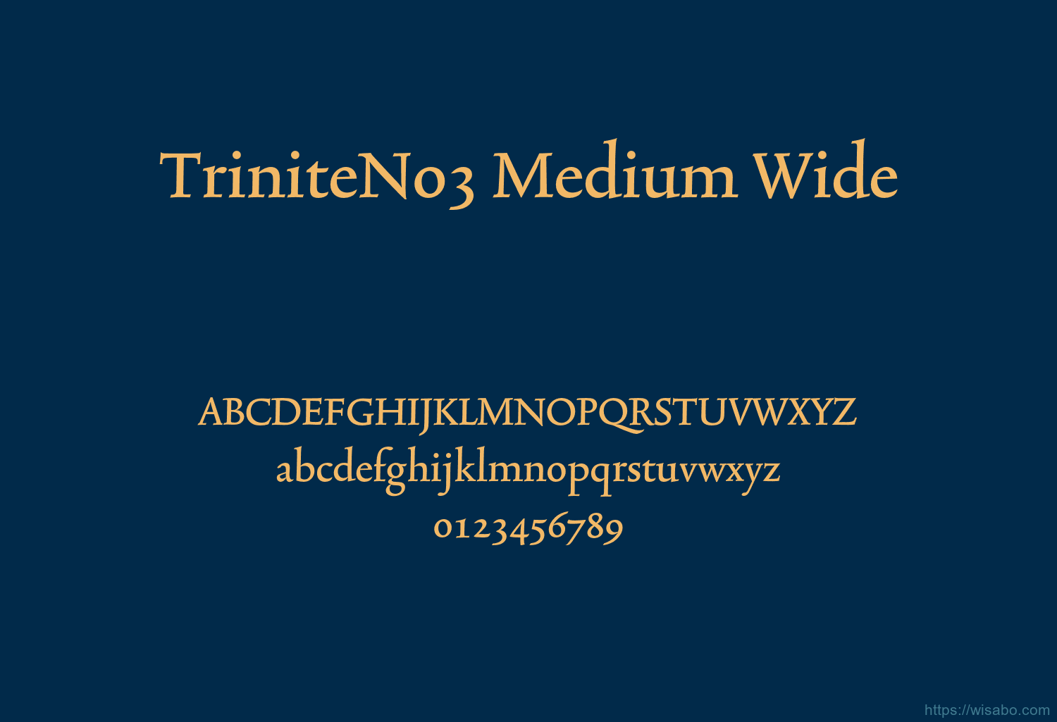 TriniteNo3 Medium Wide