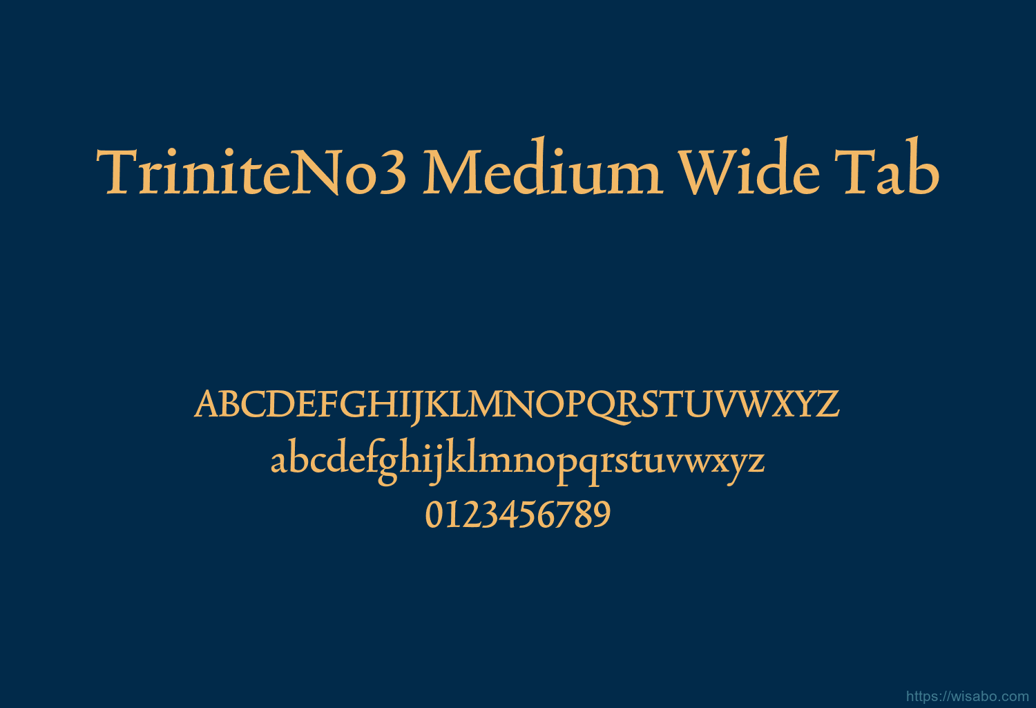 TriniteNo3 Medium Wide Tab