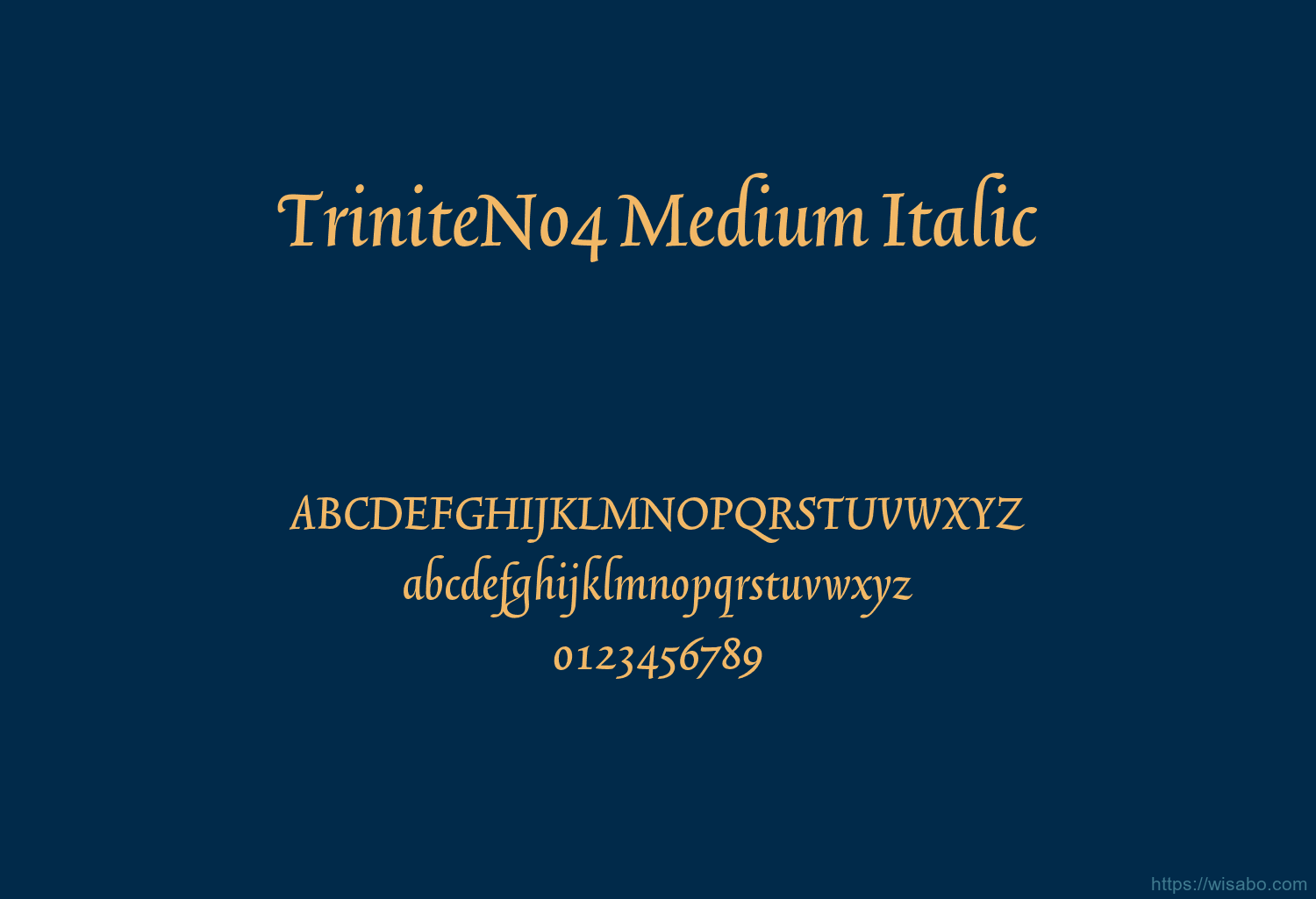 TriniteNo4 Medium Italic