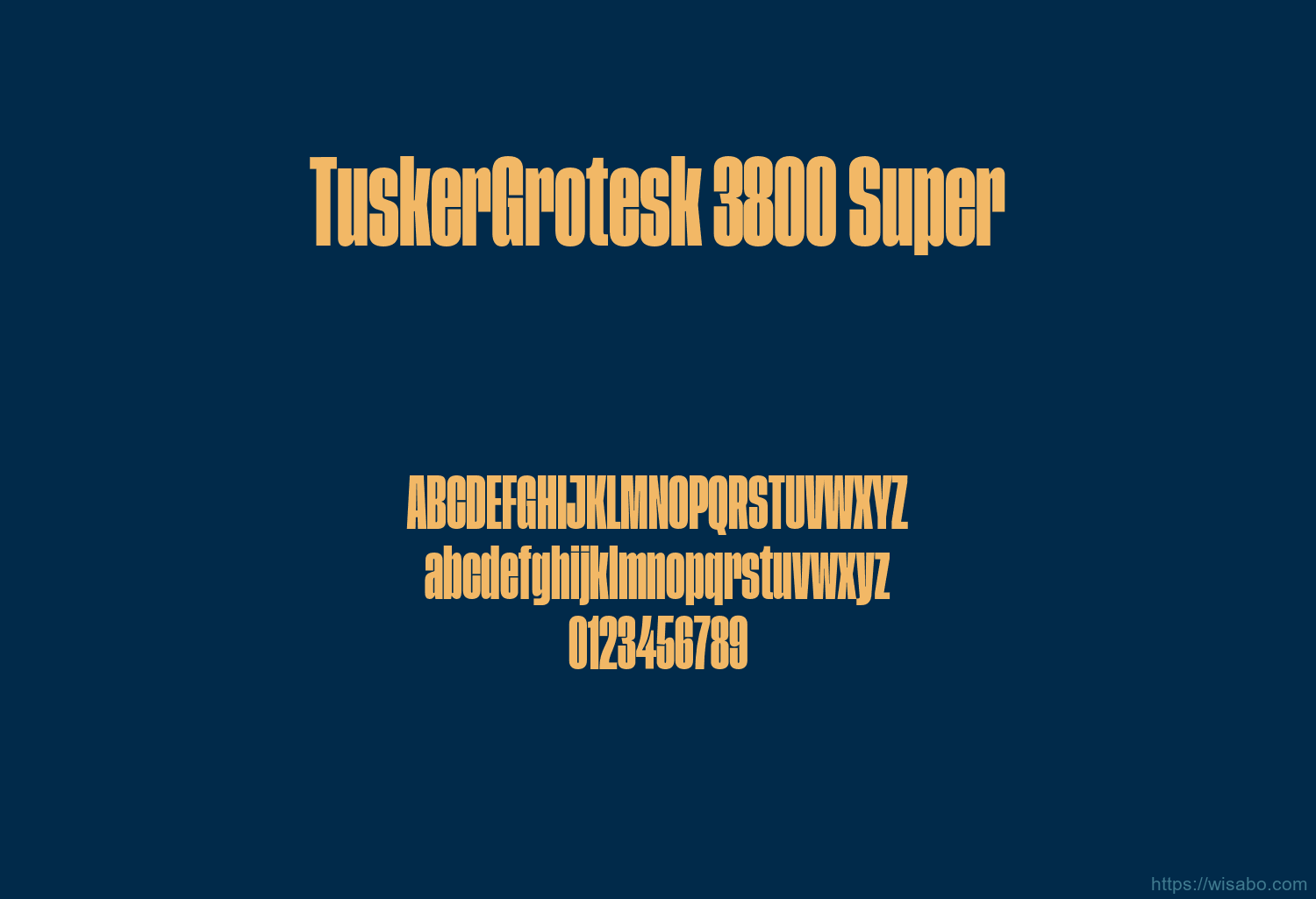 TuskerGrotesk 3800 Super