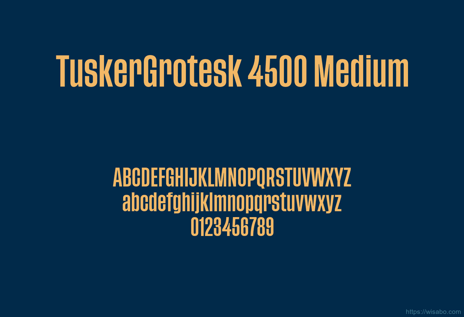 TuskerGrotesk 4500 Medium