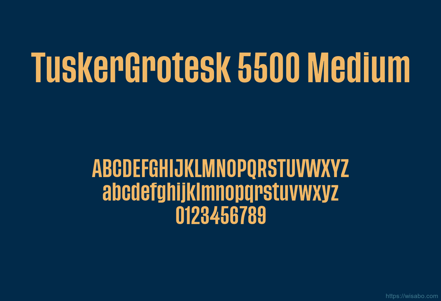 TuskerGrotesk 5500 Medium