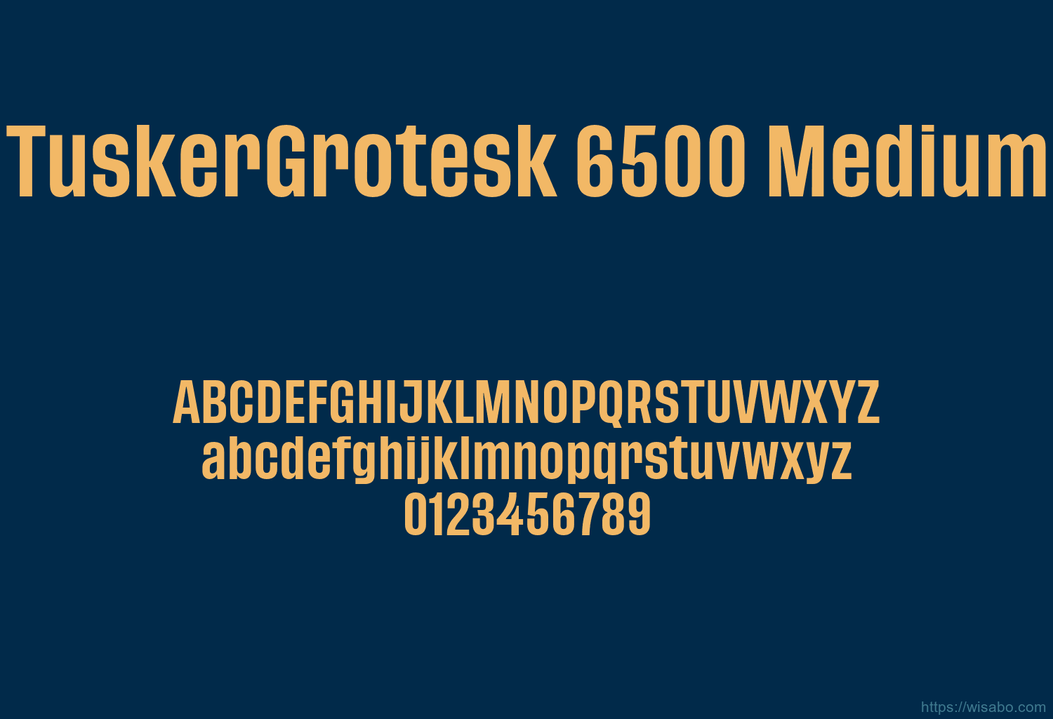 TuskerGrotesk 6500 Medium