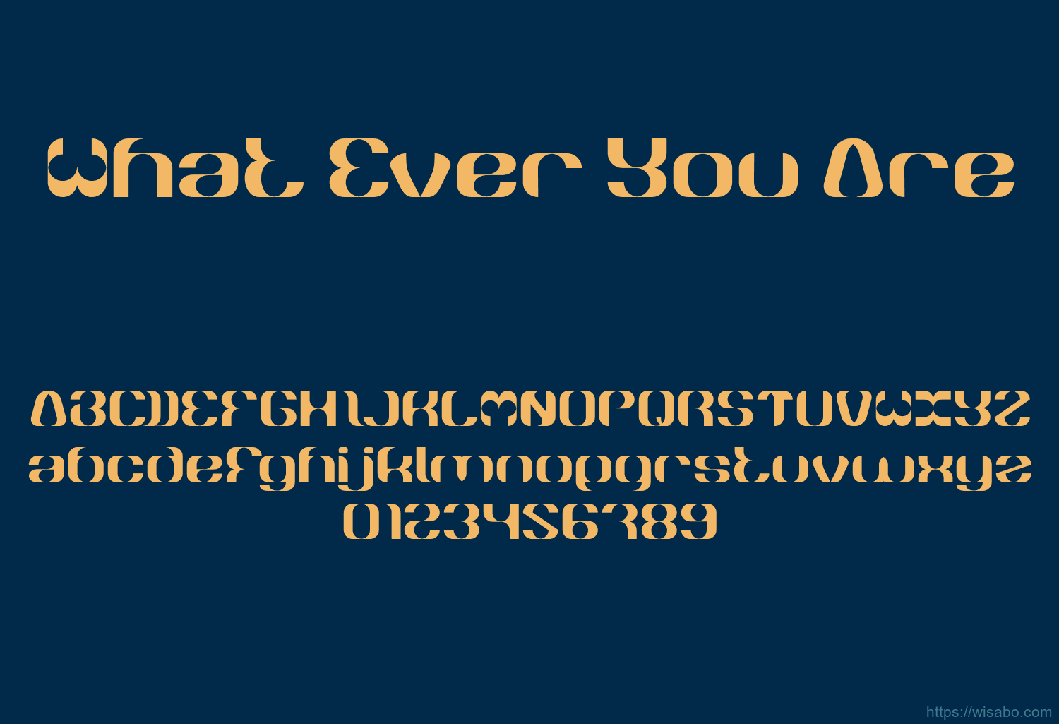 What Ever You Are
