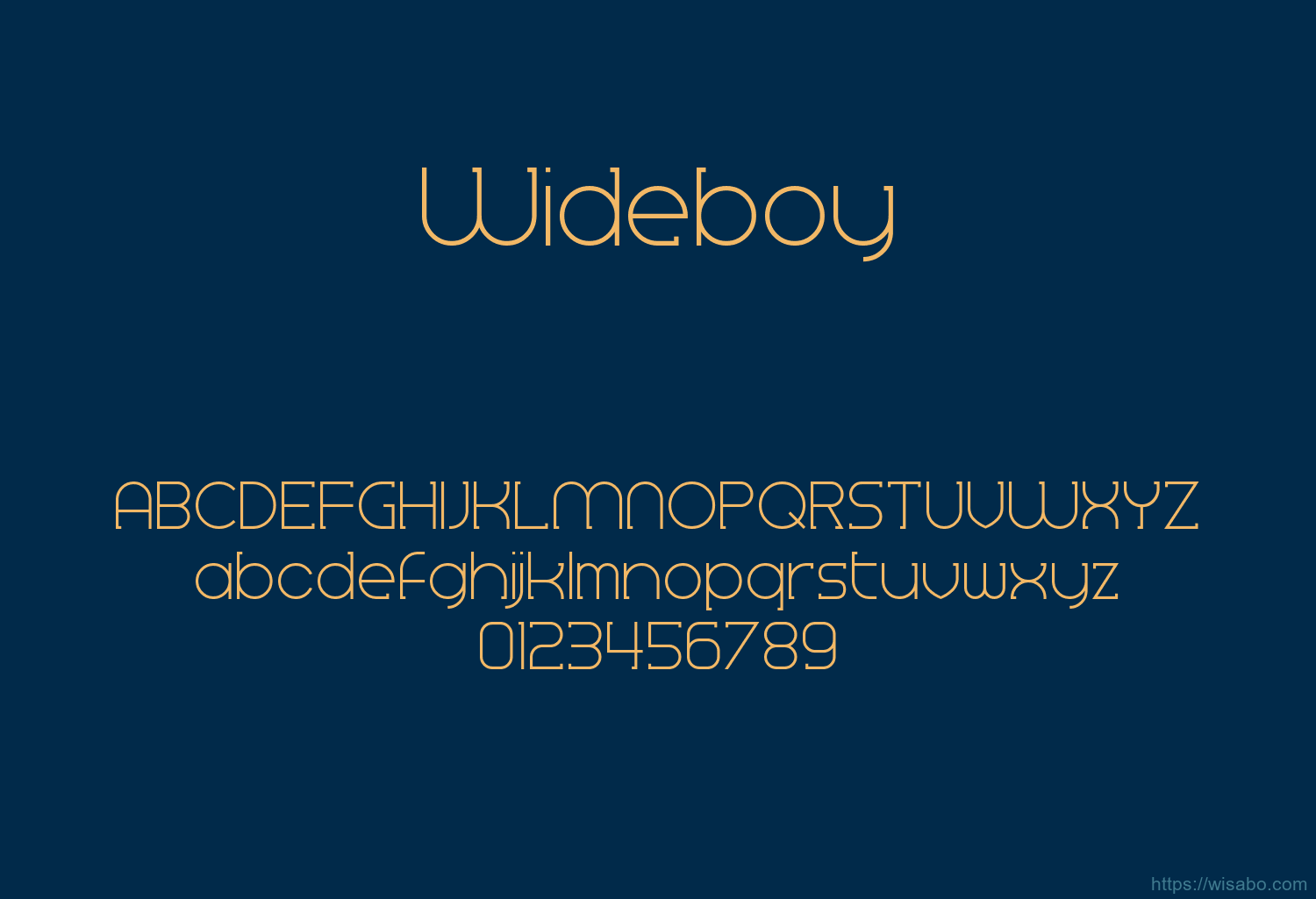 Wideboy