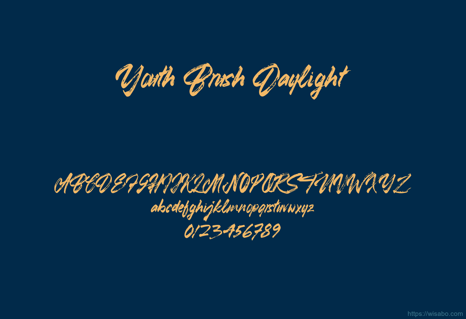 Youth Brush Daylight